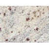 Kashmir-White import granite