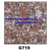 ӦG719ģɫҰģĥģļӹ