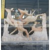 石雕鹿雕刻  晚霞红鹿 汉白玉母子鹿 梅花鹿雕塑雕刻